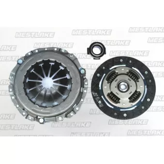 Kit d'embrayage WESTLAKE OEM 71734222
