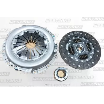 Kit d'embrayage WESTLAKE OEM 4142132000