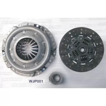 Kit d'embrayage WESTLAKE OEM 53008342