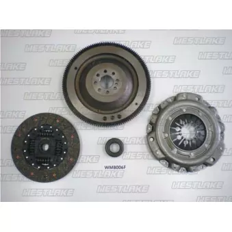 Kit d'embrayage + volant moteur WESTLAKE OEM 6010301505