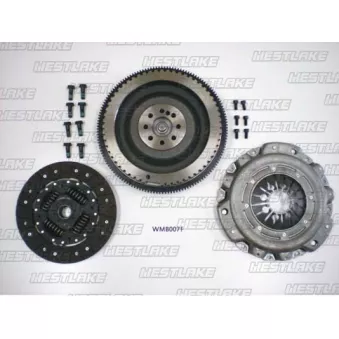 Kit d'embrayage + volant moteur WESTLAKE OEM a6120301005
