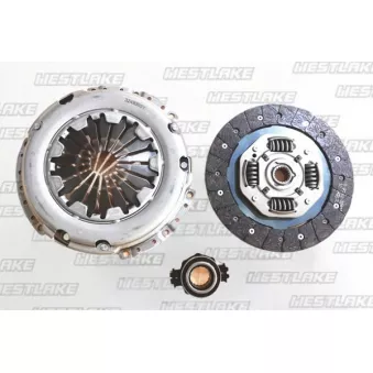 Kit d'embrayage WESTLAKE OEM 21217534150