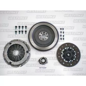 Kit d'embrayage + volant moteur WESTLAKE OEM 3121005051S2