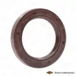 SKT 040747-V - Bague d'étanchéité, vilebrequin