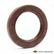 SKT 040831-V - Bague d'étanchéité, vilebrequin