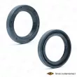 Bague d'étanchéité, vilebrequin SKT [040880-P]