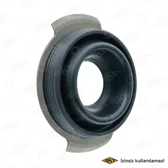 Bague d'étanchéité système SPI, pompe d'injection SKT OEM YC1Q6K780BB