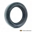 SKT 046001-P - Bague d'étanchéité, différentiel