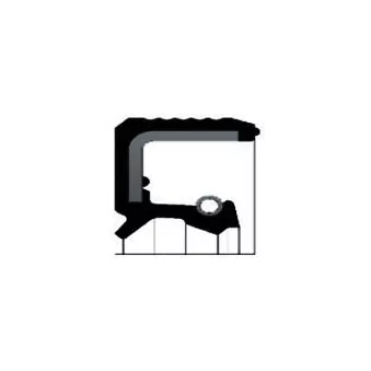 Bague d'étanchéité, vilebrequin SKT [046198-P]