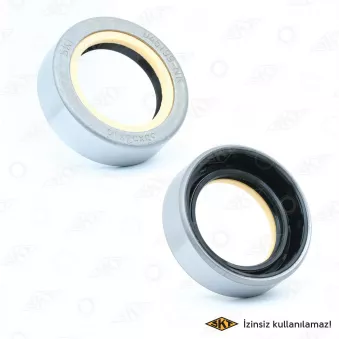 SKT 046199-NK - Bague d'étanchéité, différentiel