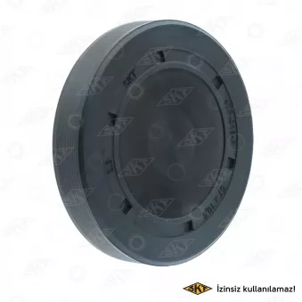 Bouchon, axe de culbuteurs-nez fileté SKT OEM 4410493