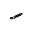 ZentParts Z00075 - Amortisseur, suspension de la cabine