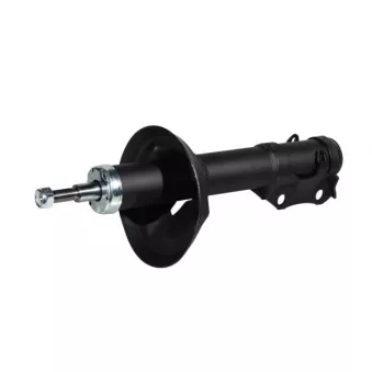 ZentParts Z00243 - Jeu de 2 amortisseurs arrière