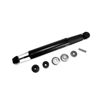 ZentParts Z00446 - Jeu de 2 amortisseurs arrière