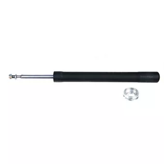 ZentParts Z00478 - Jeu de 2 amortisseurs arrière