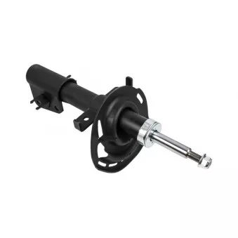 ZentParts Z00504 - Jeu de 2 amortisseurs arrière