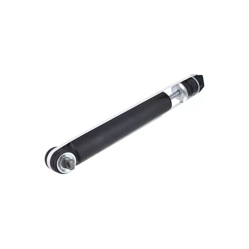 Jeu de 2 amortisseurs arrière ZentParts Z00673 - Visuel 2