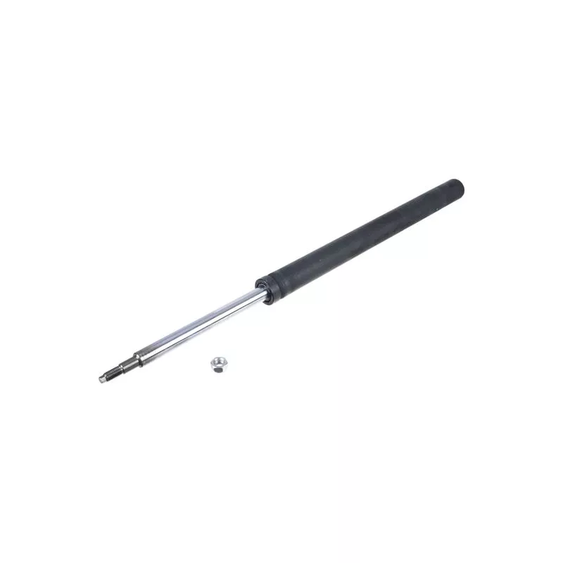 Jeu de 2 amortisseurs arrière ZentParts Z01456 - Visuel 1