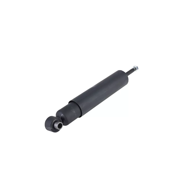 Jeu de 2 amortisseurs arrière ZentParts Z01535 - Visuel 1