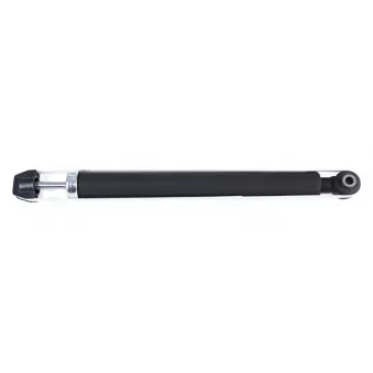 ZentParts Z01539 - Jeu de 2 amortisseurs arrière