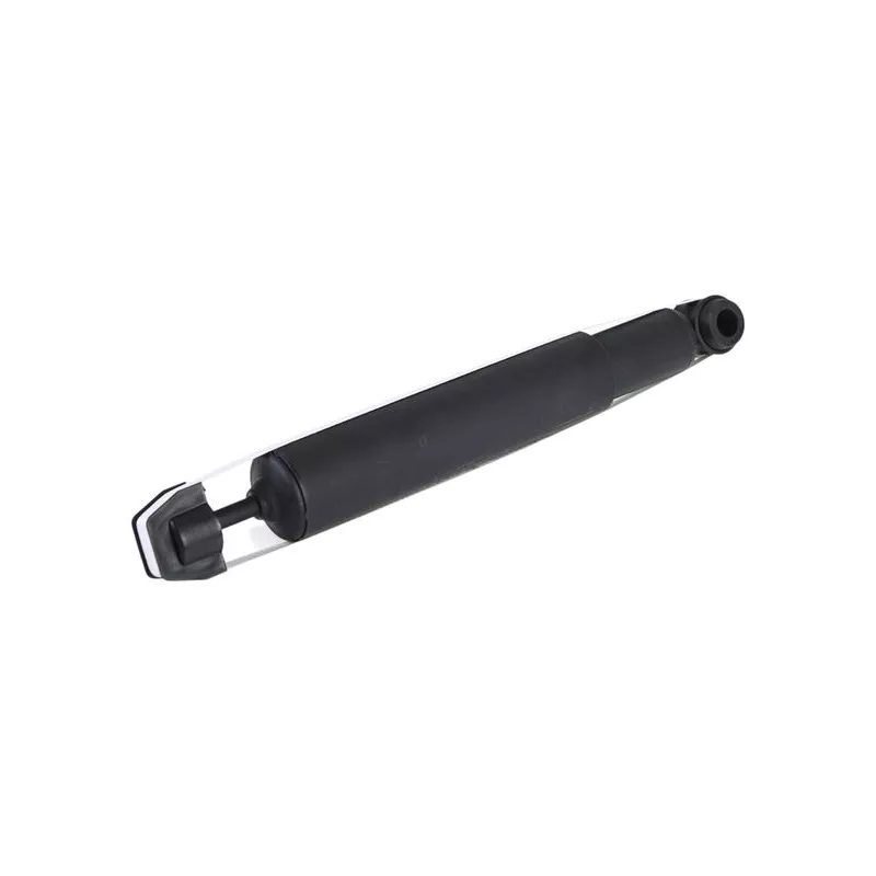 Jeu de 2 amortisseurs arrière ZentParts Z01594 - Visuel 2