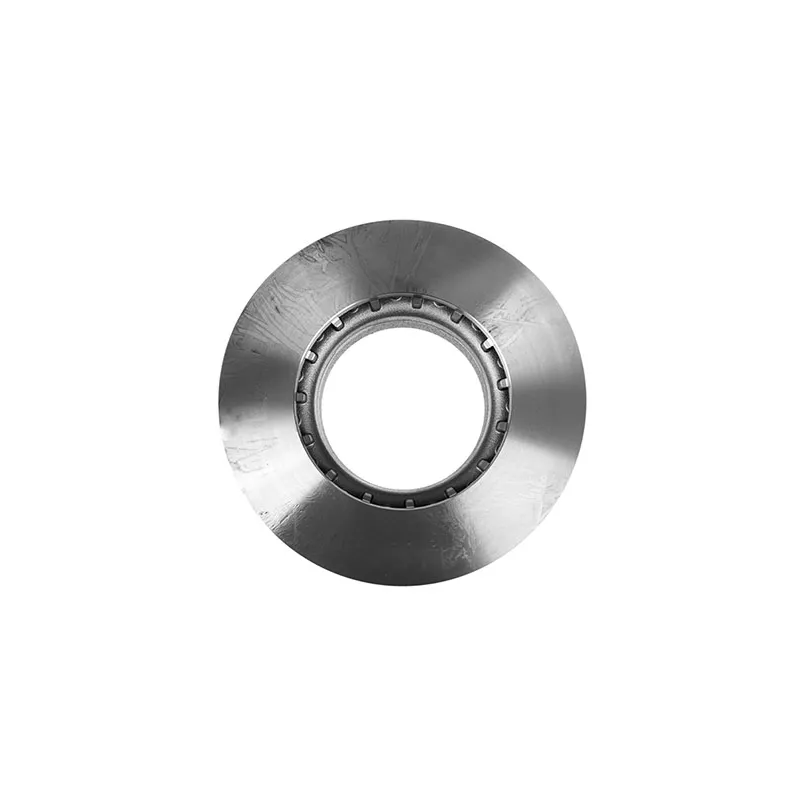 Jeu de 2 disques de frein arrière ZentParts Z05920 - Visuel 1