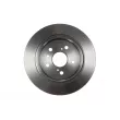 ZentParts Z06000 - Jeu de 2 disques de frein avant