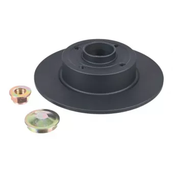 ZentParts Z06317 - Jeu de 2 disques de frein avant