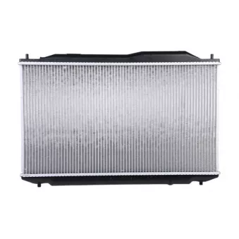 ZentParts Z20113 - Radiateur, refroidissement du moteur