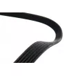 ZentParts Z22590 - Courroie trapézoïdale à nervures