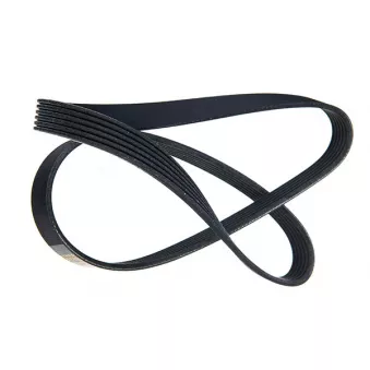 ZentParts Z22610 - Courroie trapézoïdale à nervures