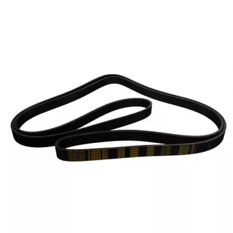 ZentParts Z22752 - Courroie trapézoïdale à nervures