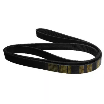 ZentParts Z22754 - Courroie trapézoïdale à nervures