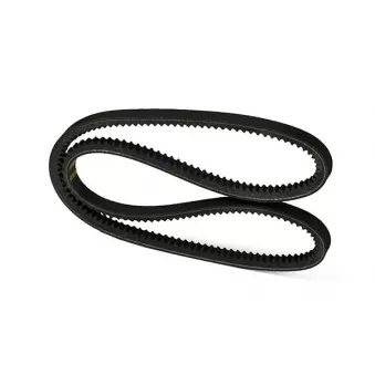 ZentParts Z22810 - Courroie trapézoïdale