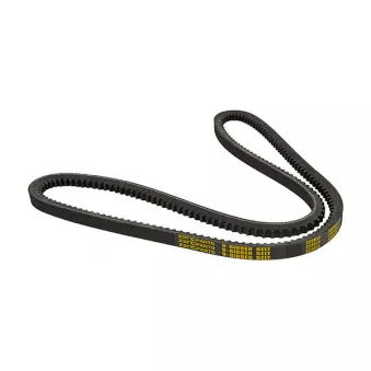 ZentParts Z22813 - Courroie trapézoïdale