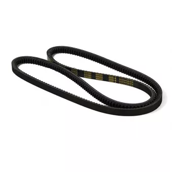 ZentParts Z22960 - Courroie trapézoïdale