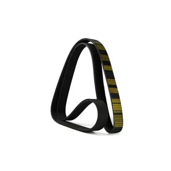 ZentParts Z22964 - Courroie trapézoïdale à nervures