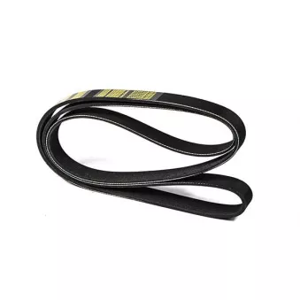 ZentParts Z23028 - Courroie trapézoïdale à nervures