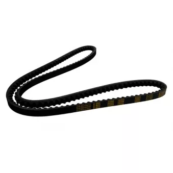 ZentParts Z23069 - Courroie trapézoïdale