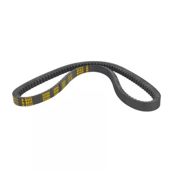 ZentParts Z23365 - Courroie trapézoïdale