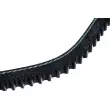 ZentParts Z23490 - Courroie trapézoïdale