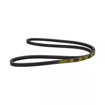 ZentParts Z23558 - Courroie trapézoïdale