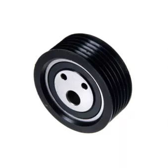 ZentParts Z23644 - Poulie de tension, courroie trapézoïdale à nervures