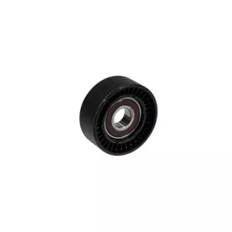 ZentParts Z23723 - Poulie de tension, courroie trapézoïdale à nervures