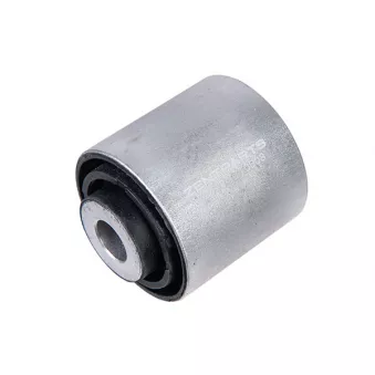 ZentParts Z26124 - Suspension, bras de liaison arrière