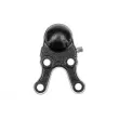 ZentParts Z36973 - Rotule de suspension avant gauche