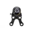 ZentParts Z36973 - Rotule de suspension avant gauche