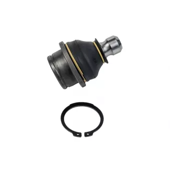 ZentParts Z37027 - Rotule de suspension