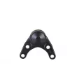 ZentParts Z37182 - Rotule de suspension