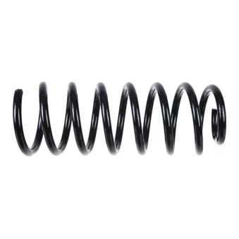 ZentParts Z38120 - Ressort de suspension